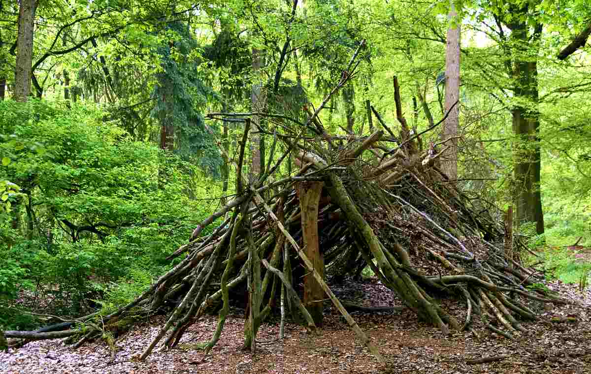A shelter hut construction of branches in a forest | Top Survival Skills | Learn Now, Survive Later 