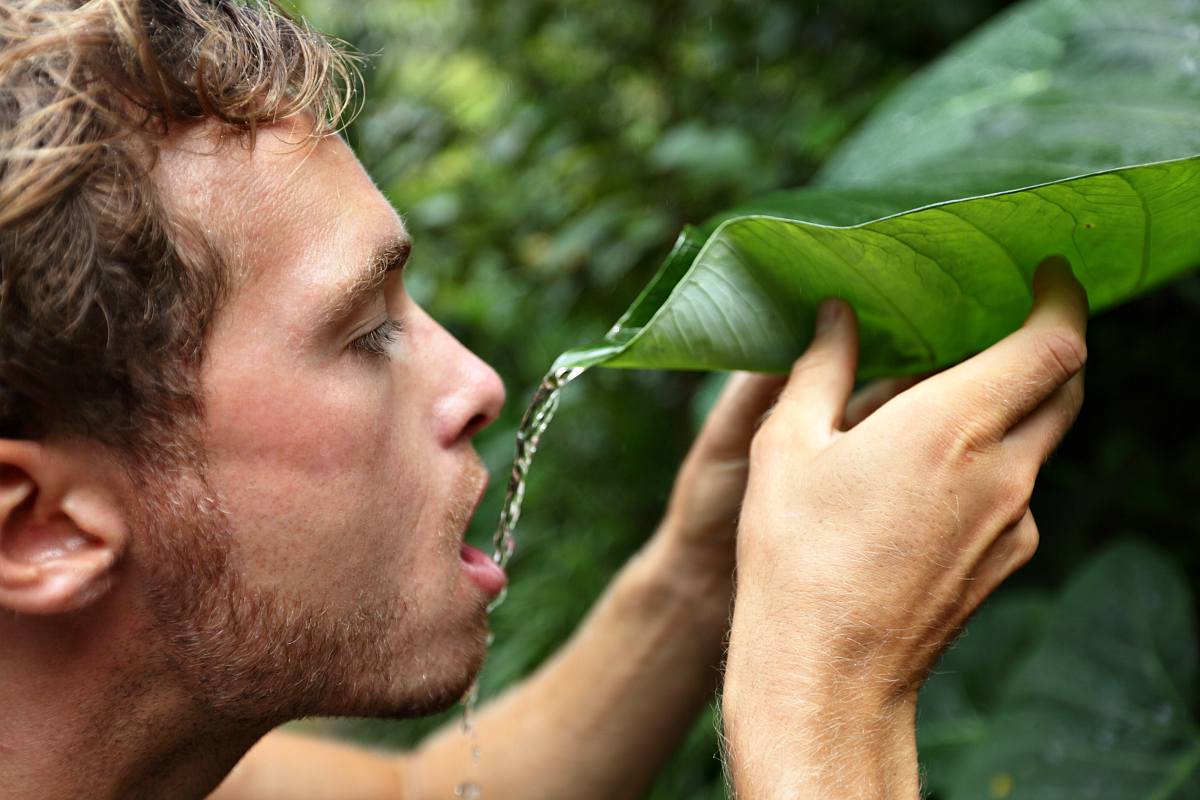 A man drinking rain water from leaf in rainforest jungle | Top Survival Skills | Learn Now, Survive Later