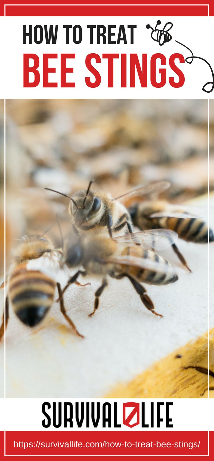 How To Treat Bee Stings | https://survivallife.com/how-to-treat-bee-stings/