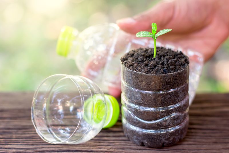planting-seedlings-plastic-bottles-placed-on | DIY Greenhouse