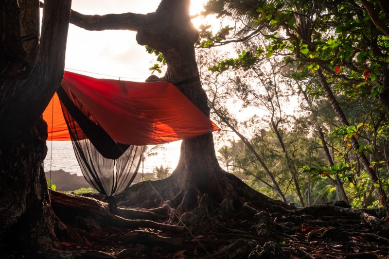 hammock-bug-net-rain-tarp-attached Camping| tent