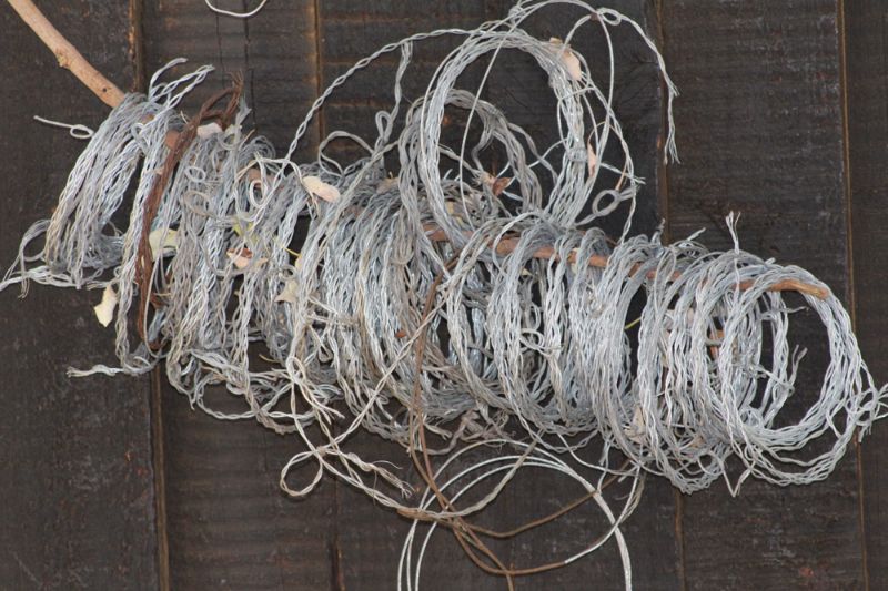 metal-poaching-snares-removed-animals-south squirrel-snare