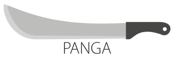 Panga