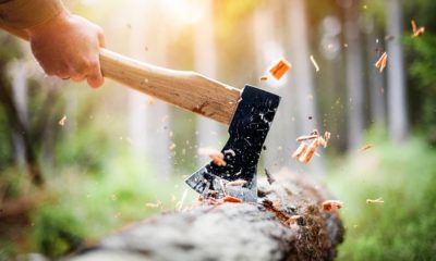 lumberjack-checkered-shirt-chops-tree-deep how to use an axe | Featured
