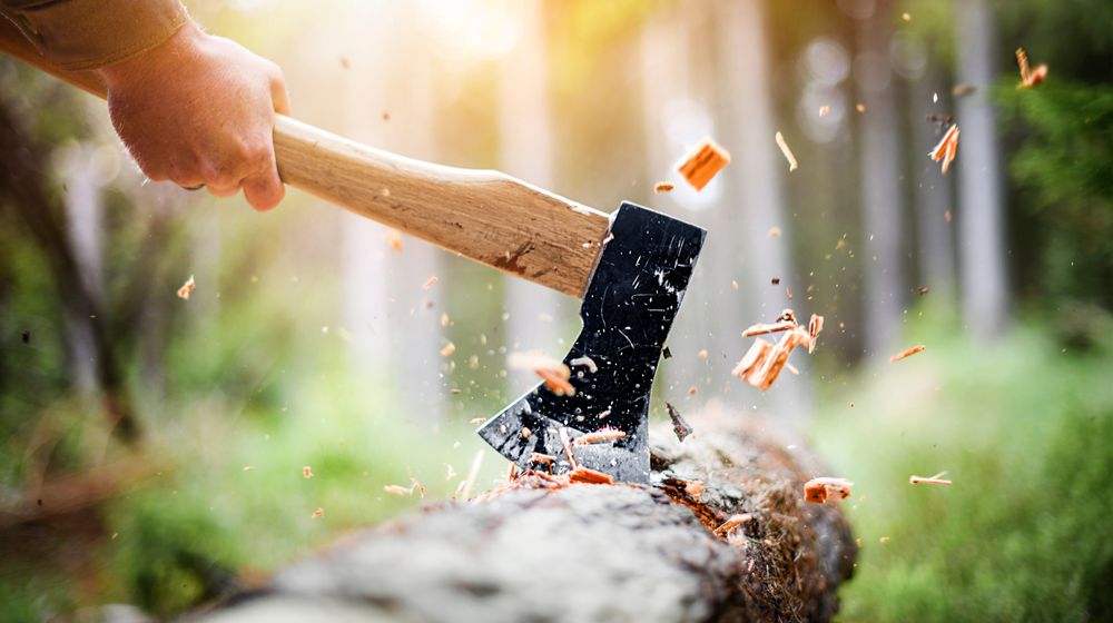lumberjack-checkered-shirt-chops-tree-deep how to use an axe | Featured
