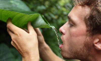 survival-man-drinking-rain-water-leaf | Drinking Water | Featured