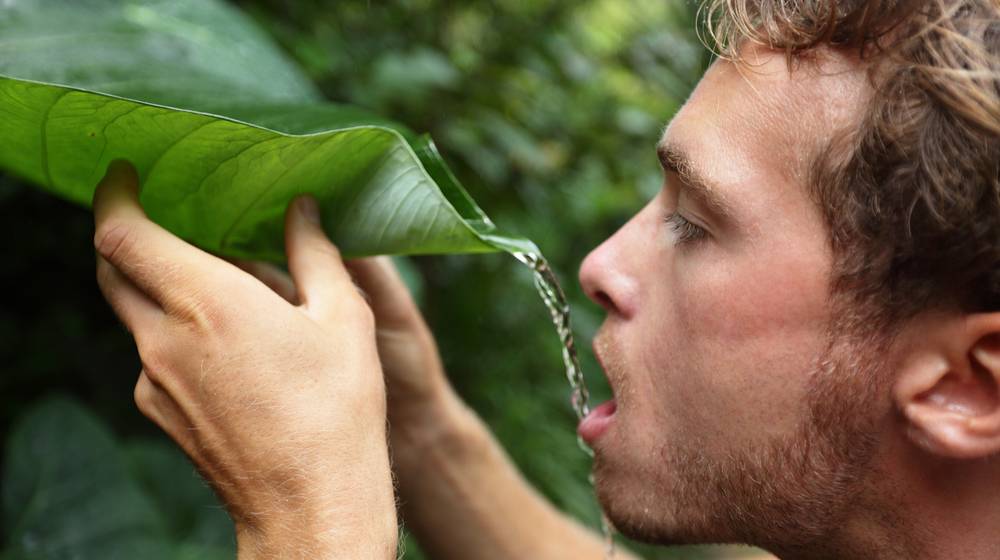 survival-man-drinking-rain-water-leaf | Drinking Water | Featured