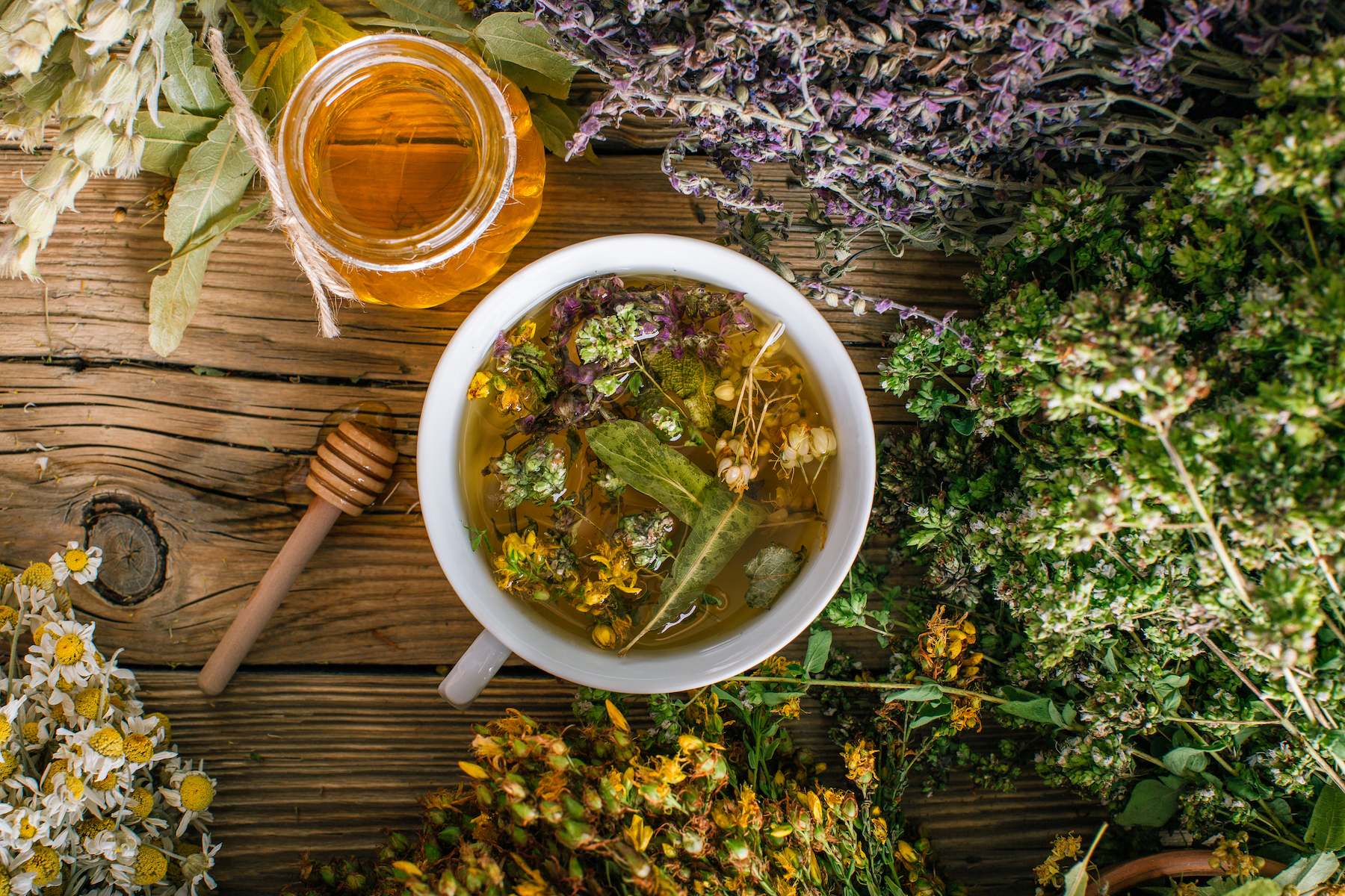 5 Easy Herbs to Grow & Use for Tea