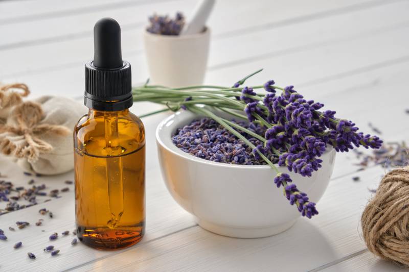 dropper-bottle-essential-lavender-oil-mortar How to Get Rid of Spiders