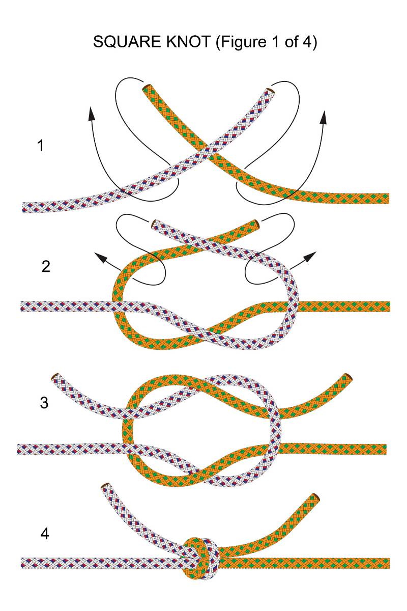 square knot illustration | double square knot