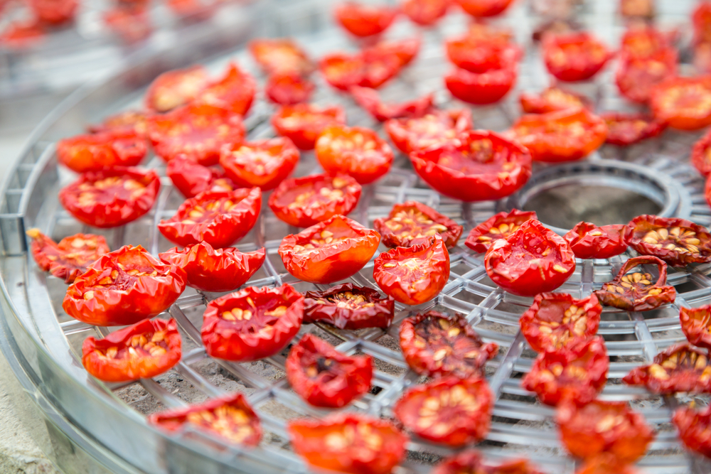 Feature | Why You Need a Food Dehydrator Immediately
