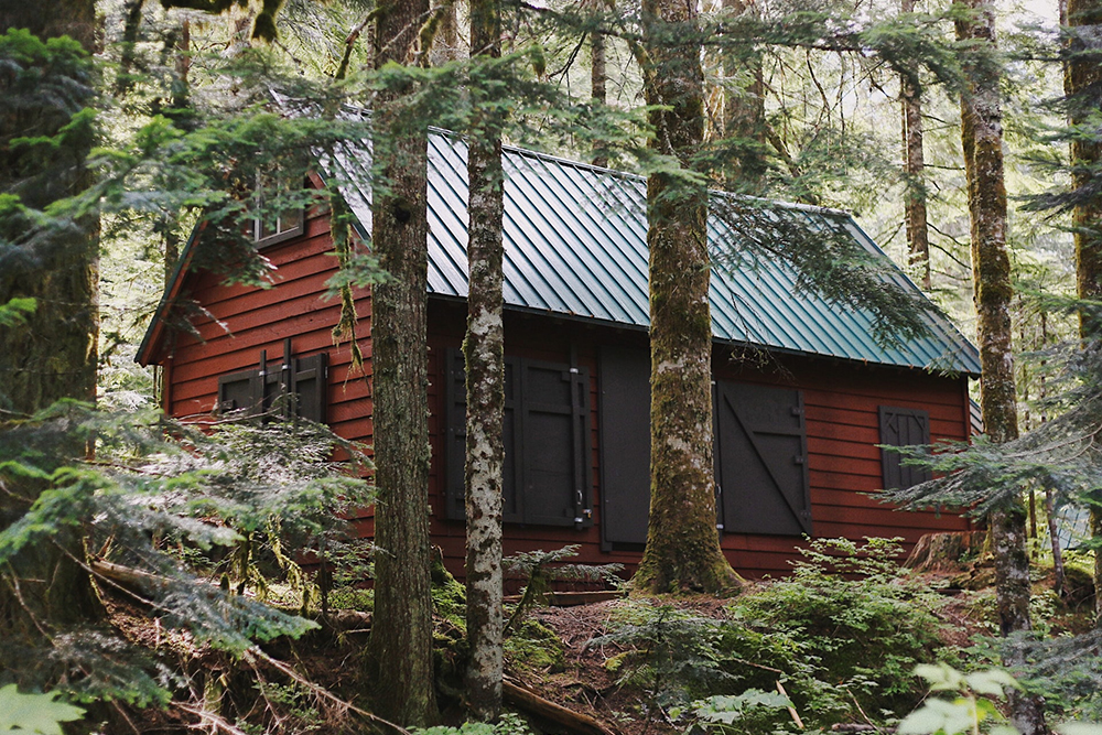 House Beneath The Forest | Tips for Living Off Grid