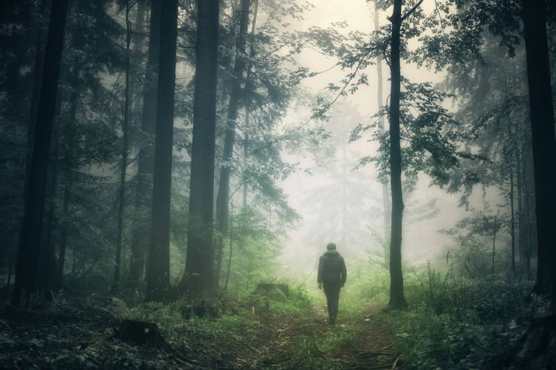 man walking alone magical dark green | Survival Documentary | survival movies