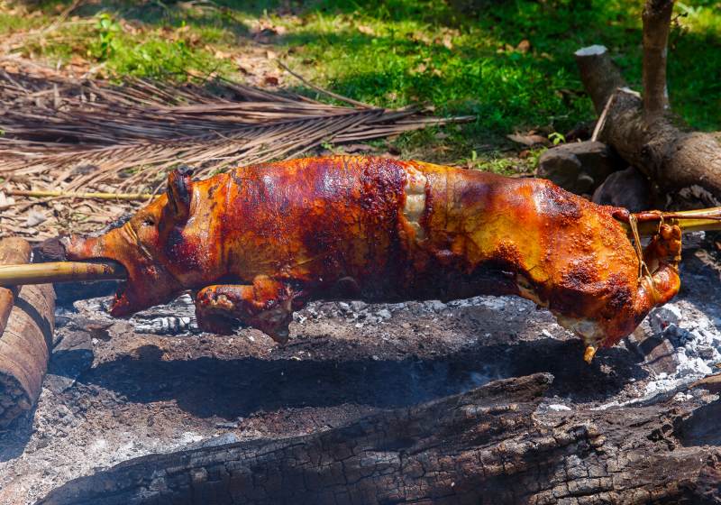 suckling pig roasted on fire filipino | dry cooking methods