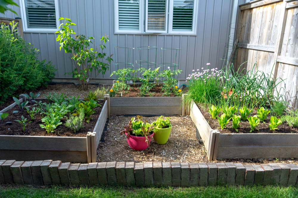 Feature | Small Garden Ideas and Tips | Small-Space Gardening