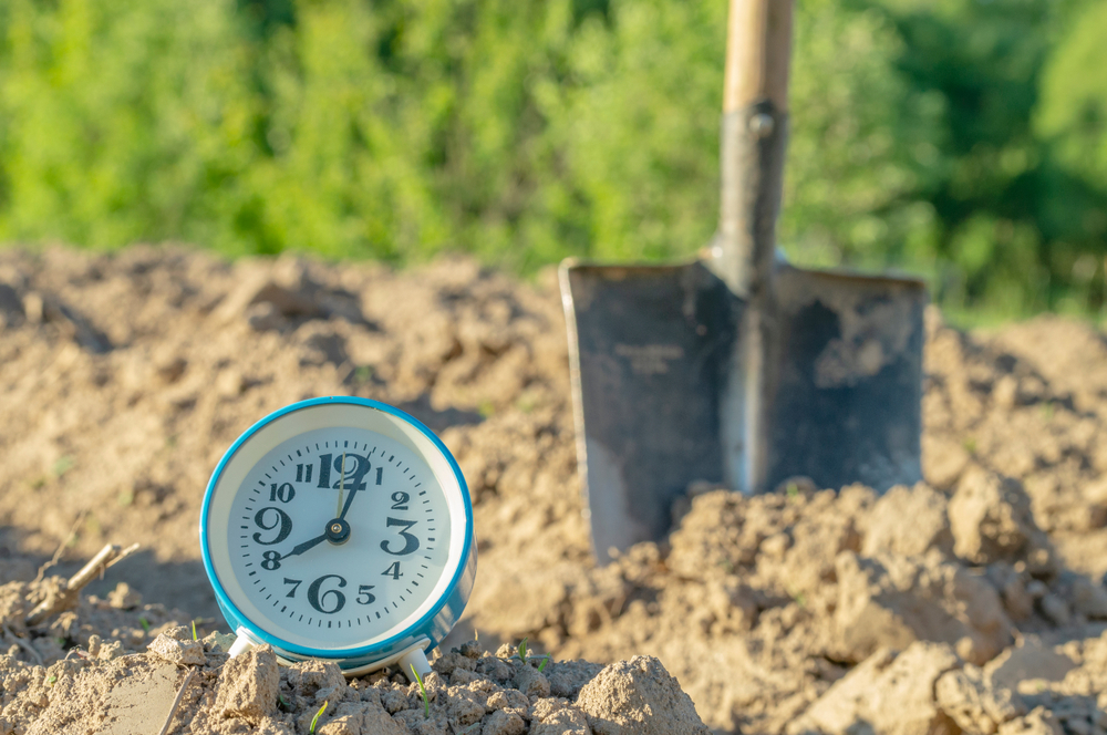 Timing is Everything | Setting Up Your Own Garden