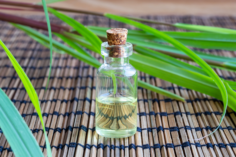 Lemongrass Essential Oil | Natural Mosquito Repellents