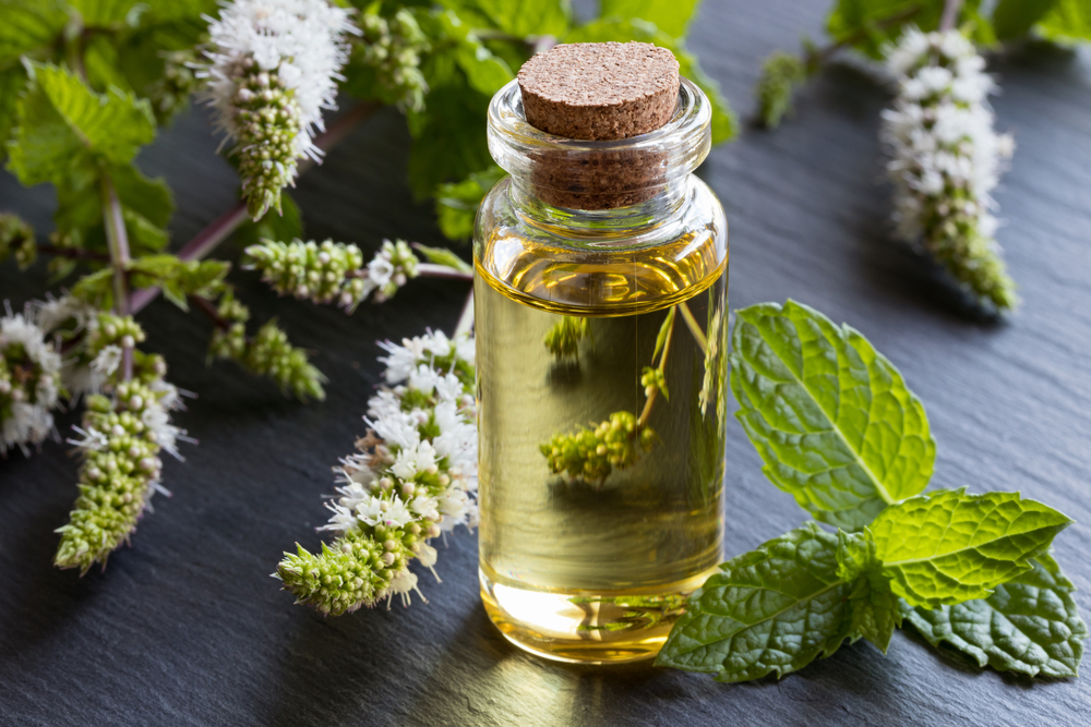 Peppermint Essential Oil | Natural Bug Prevention