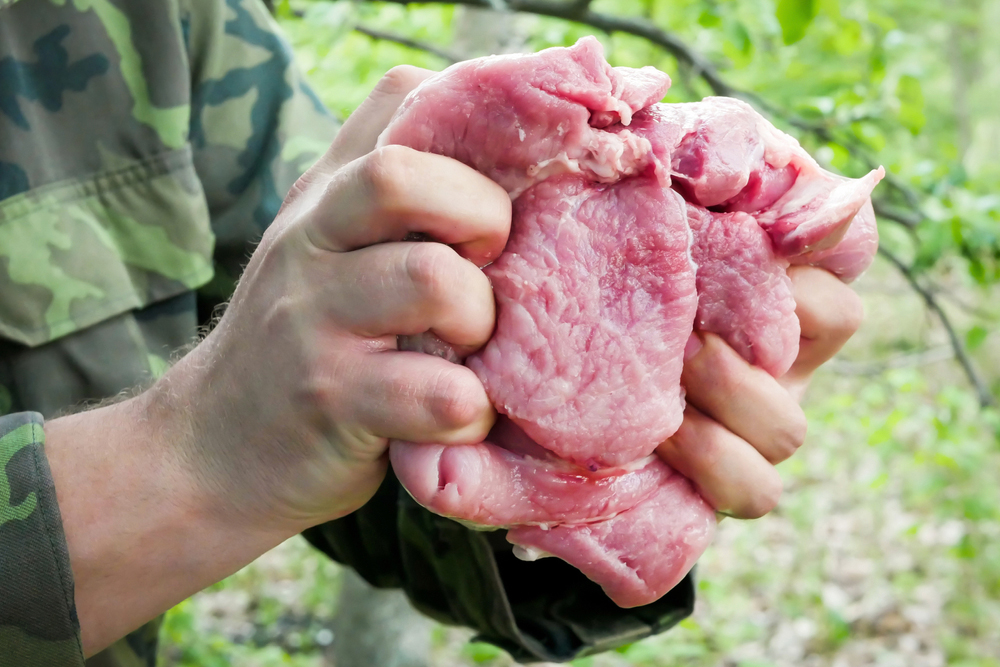 A Guide To Meat Preservation In The Wild