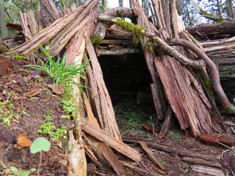 Build Your Own Survival Shelter | Building Your Back-Up Plan: Survival Shelters And Underground Bunkers