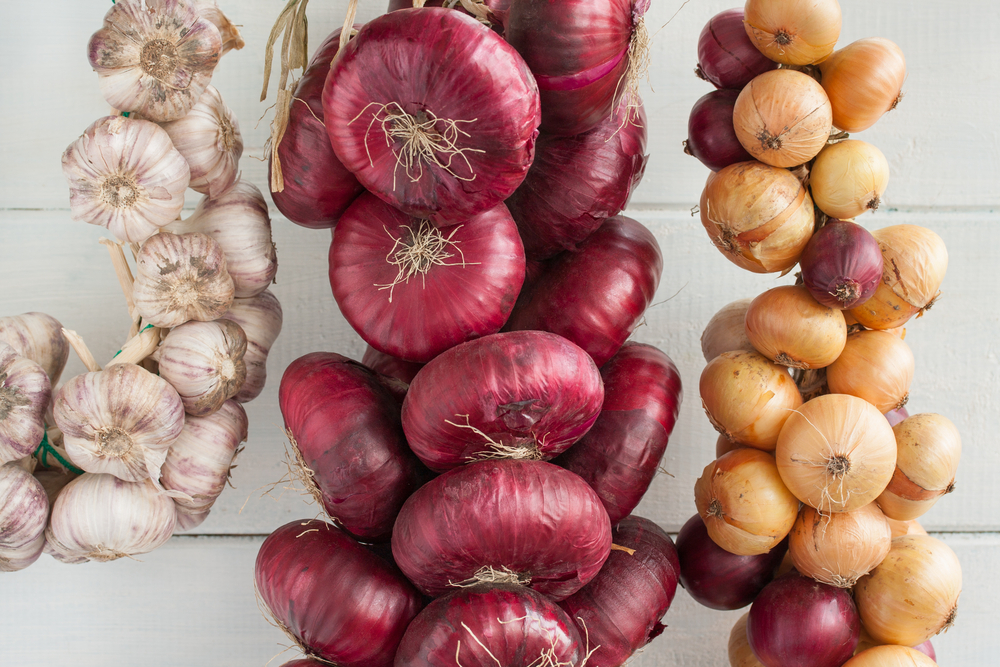 Onions & Garlic | How to Have a Self-Sufficient Small Backyard Garden