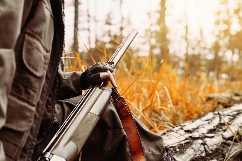 autumn-hunting-season-woman-hunter-gun | hunting