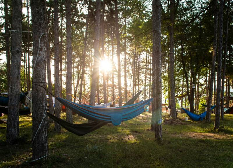 hammocks-on-trees-forest-sunshine-morning tent camping