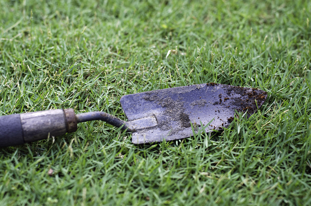 Hand Trowel | Gardening Hand Tools You Should Have