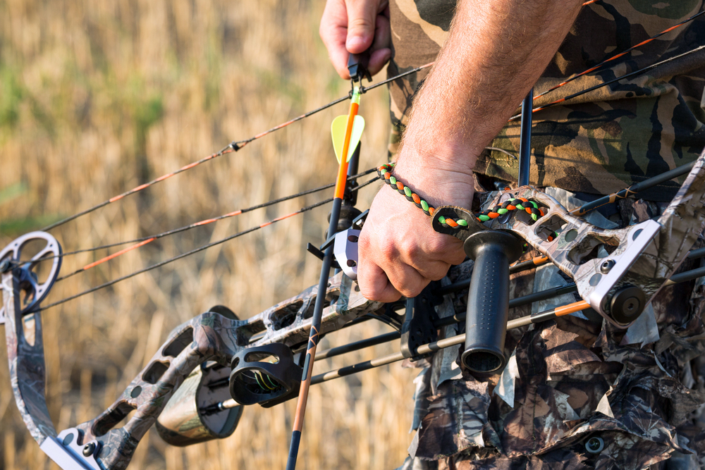 Archery Hunting Season: Compound Bows vs Crossbows