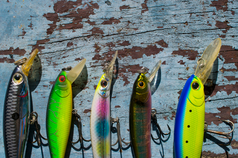 Lures and Bait | Fishing 101