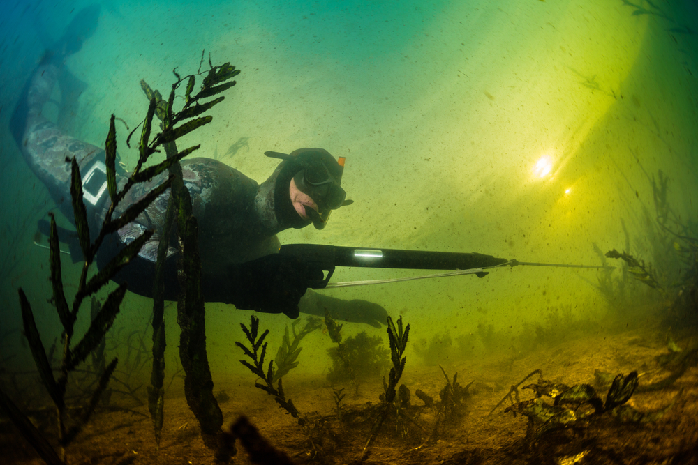 Why Spearfishing Is Valuable | How to Spear Fish