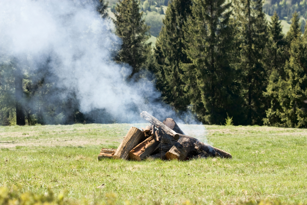 Observe Campfire Smoke | How to Read the Weather
