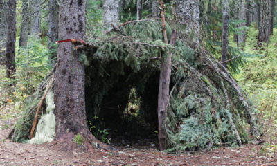 primitive survival shelter forest primitive shelter