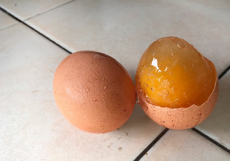 Frozen Eggs | Freeze Dried Food