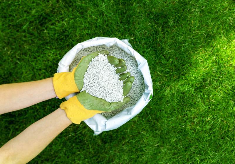 feeding lawn with granular fertilizer for perfect green grass | homemade diy deicer