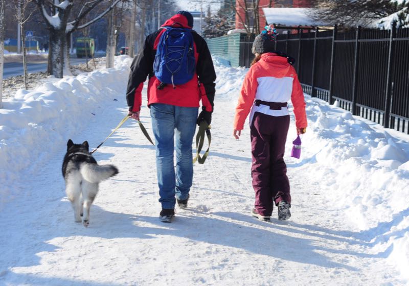 man with daughter and dog walk in winter | walking on ice | ss