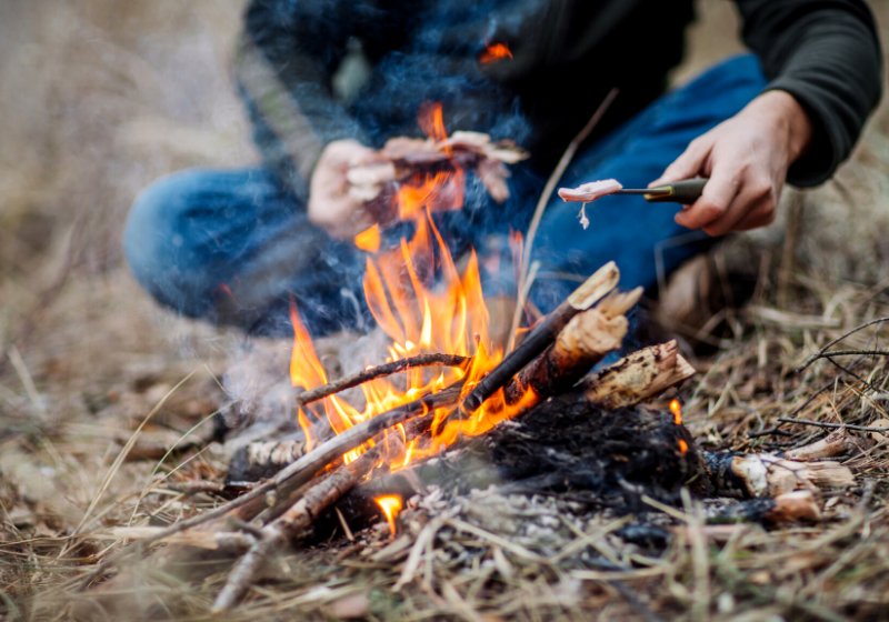 meat on stick grilled fire bushcraft | bushcraft skills