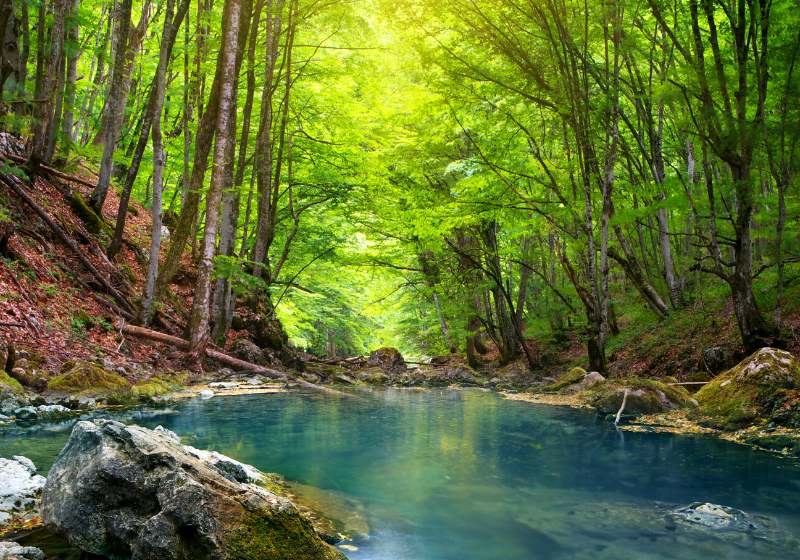 river deep mountain forest nature composition | non potable water signs