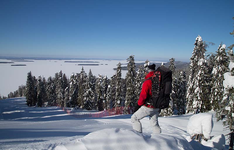 snowshoe hiker on koli | how to prepare for an avalanche