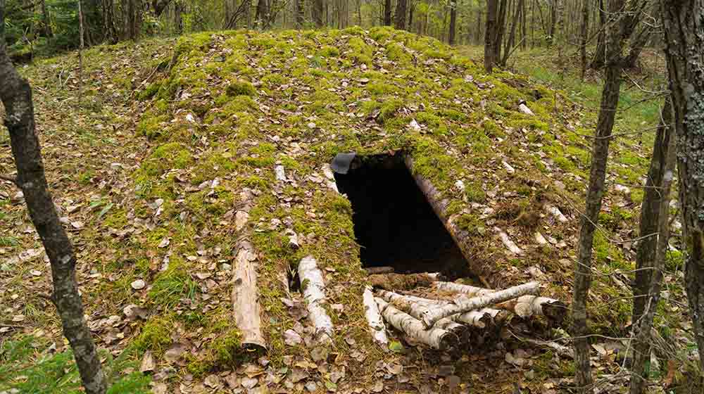 military underground camouflaged by logs | How To Build A Bunker | Featured