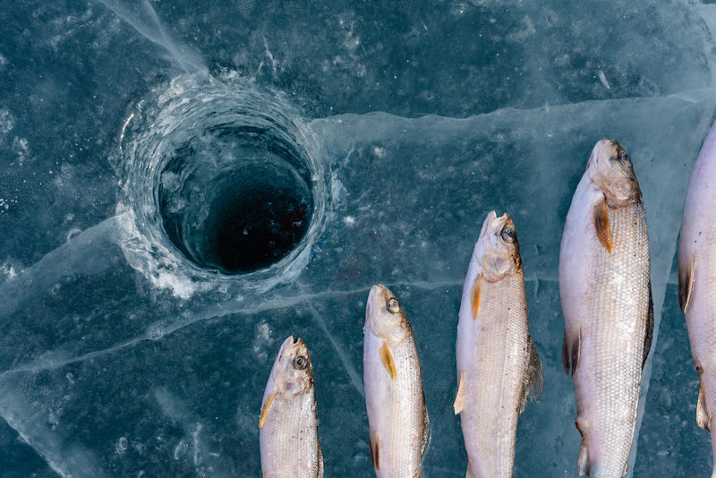 Winter fishing on Lake Baikal | ice fishing meaning