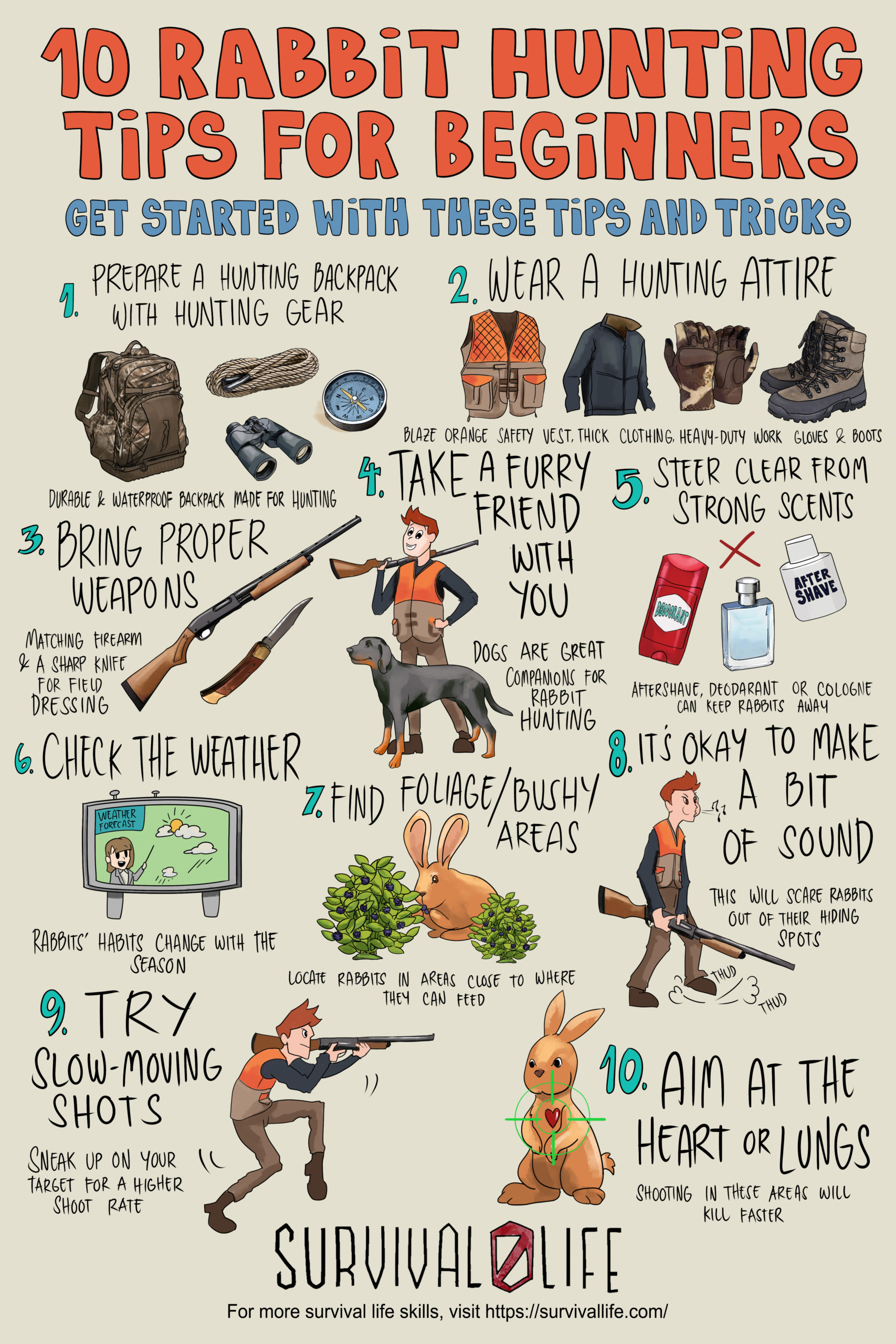 10 Rabbit Hunting Tips for Beginners | Infographics