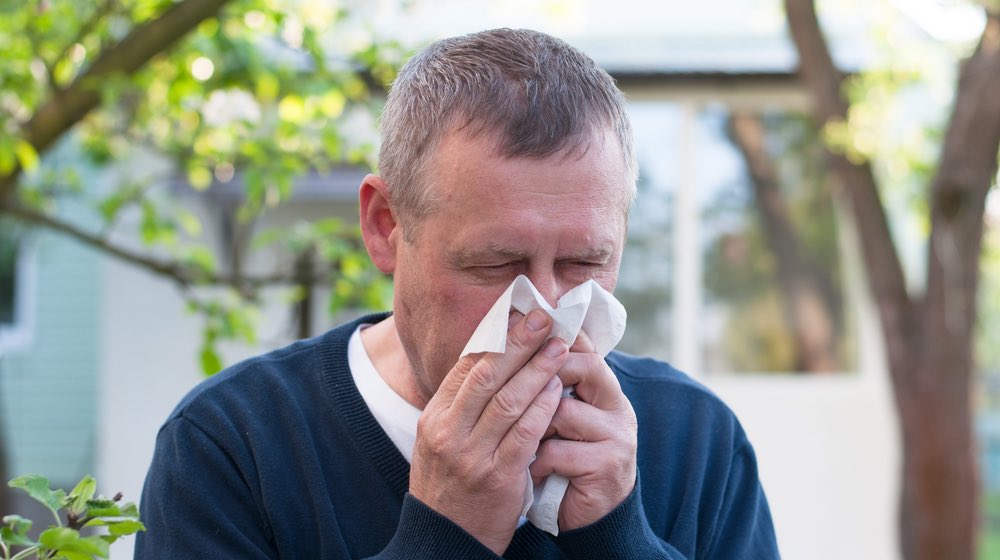 Portrait of middle aged european man blow nose on backyard background in sunny spring day | spring allergy | featured ss