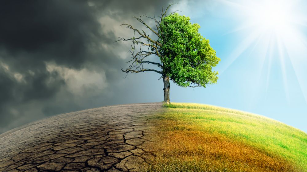 climate-change-withered-earth Climate Change You Need To Worry About | Featured
