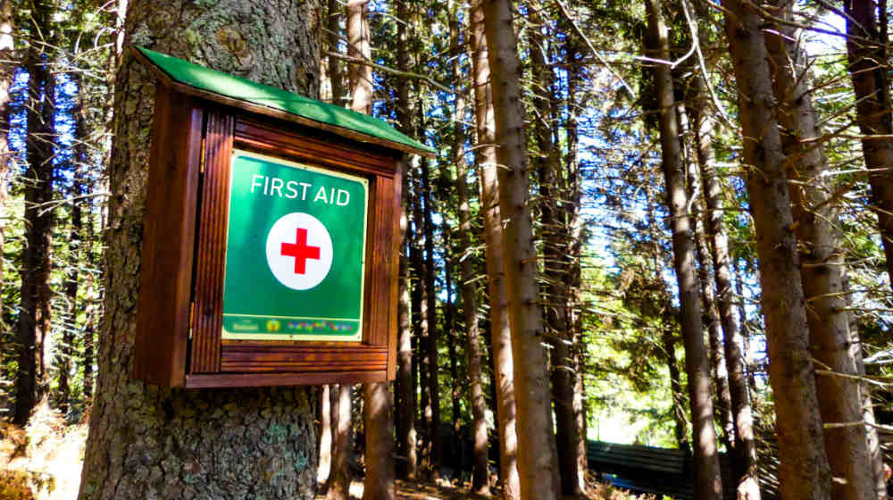 first aid kit forest | Most Essential Wilderness First Aid Tips You Need To Survive | Featured