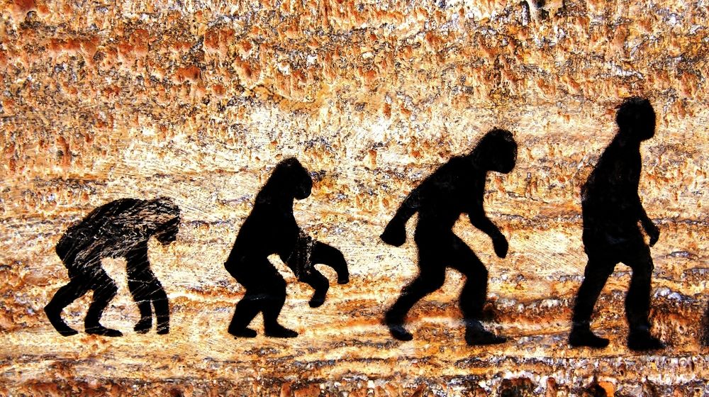 grunge-background-human-evolution Evolution Of A Prepper | Featured