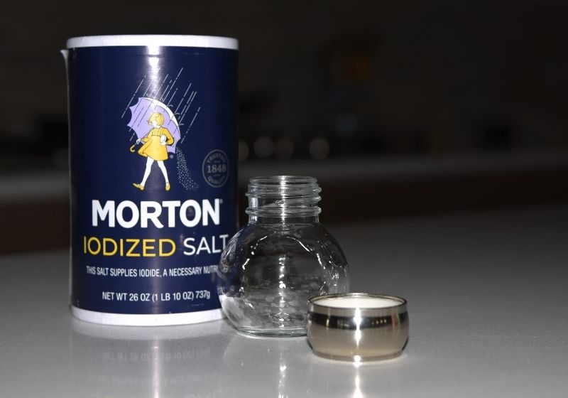 Container of Morton Iodized salt Foods to stock up on SS