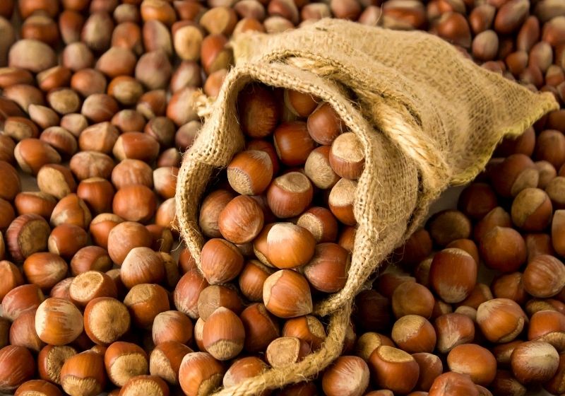 Luxurybig sizenew crop Turkish Hazelnuts Foods to stock up on SS
