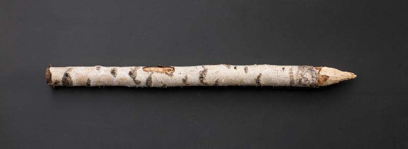 wooden birch stake isolated on black background-pencil sharpener