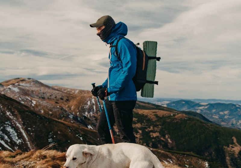 Anonymous male hiker standing on mountain peak with purebred dog | Tips to Help You Camp in the Rain